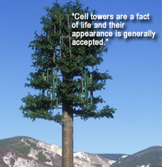 Stealth Cell Tower